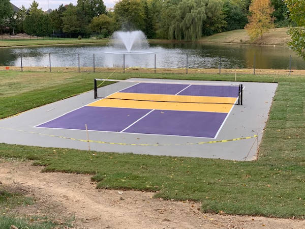 Backyard pickleball court with custom colors